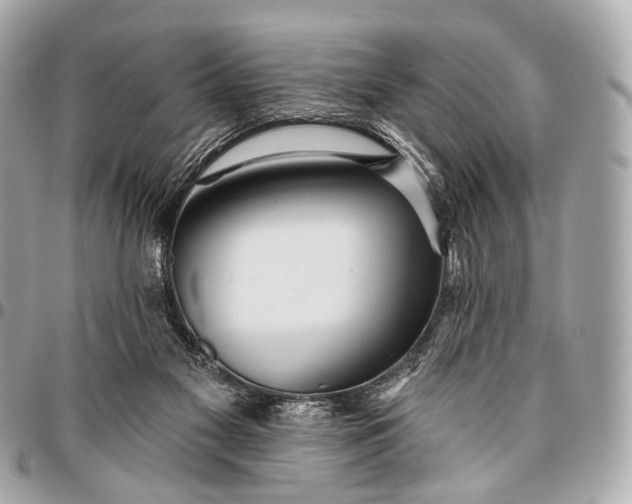 X0000096450117200802071821