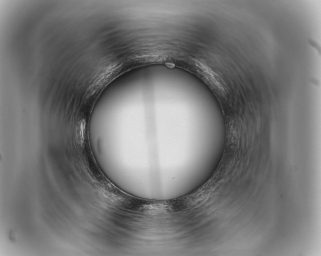 X0000096450118200802071821