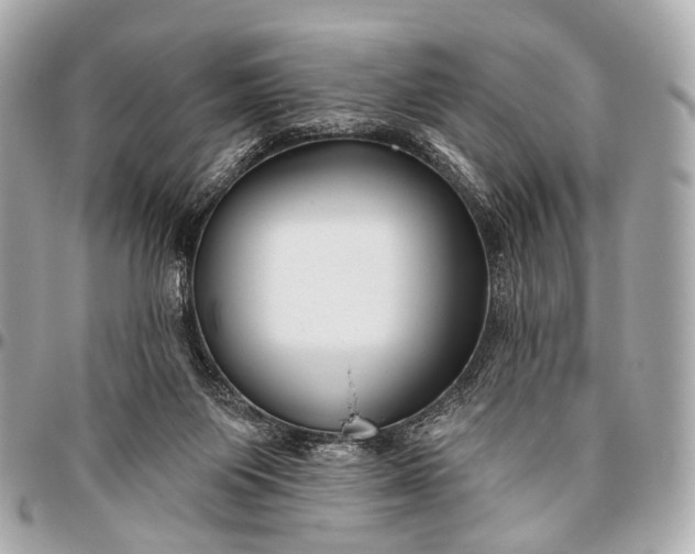 X0000096450119200802071821