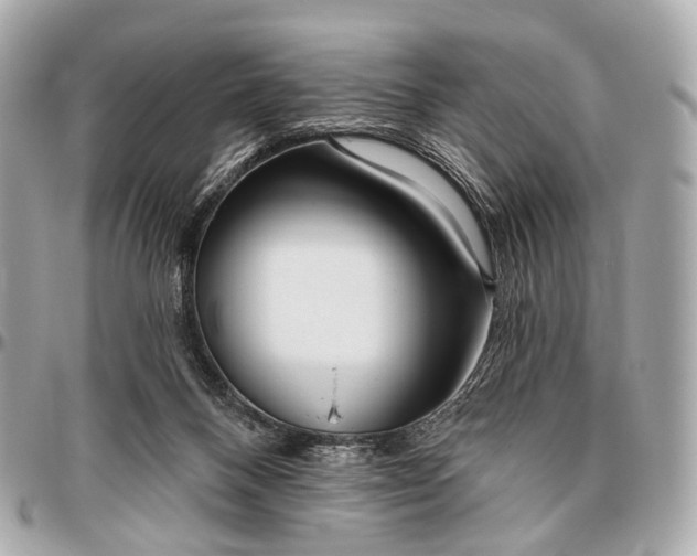 X0000096450120200802071821