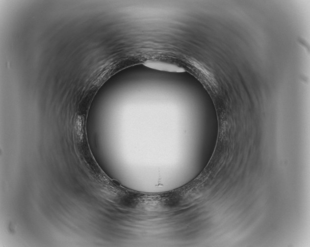 X0000096450121200802071821