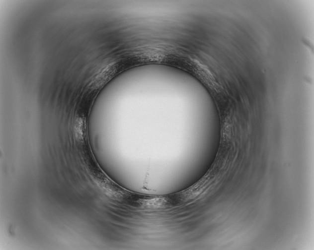 X0000096450122200802071820