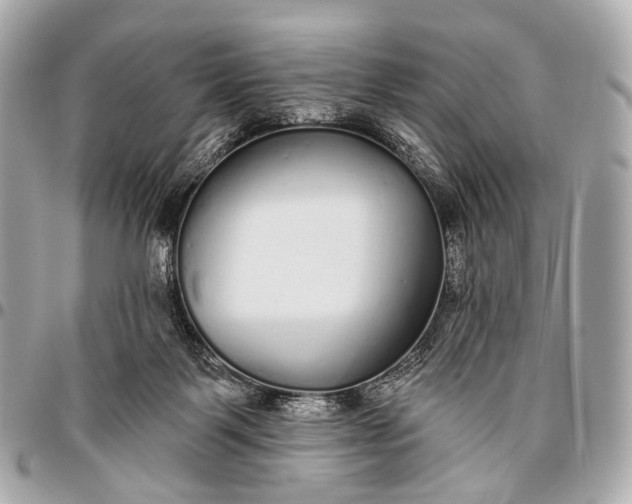 X0000096450123200802071820