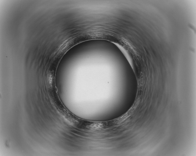 X0000096450124200802071820