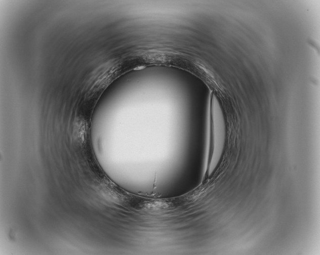 X0000096450125200802071820