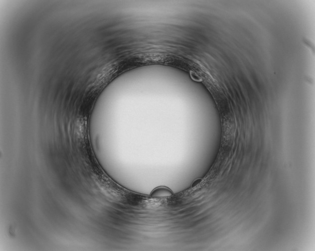 X0000096450126200802071820