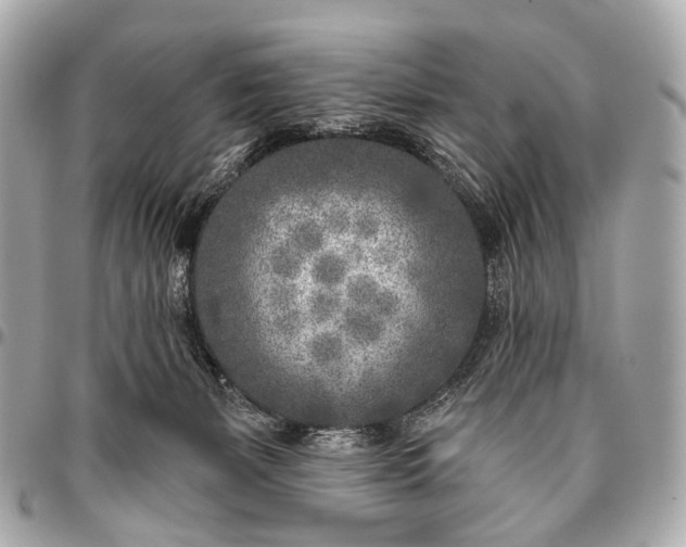 X0000096450127200802071820