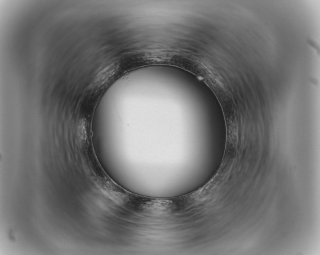 X0000096450128200802071820