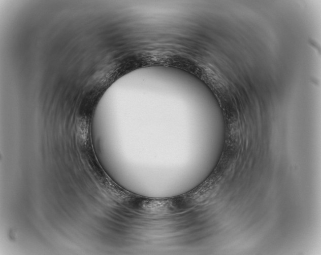 X0000096450129200802071820