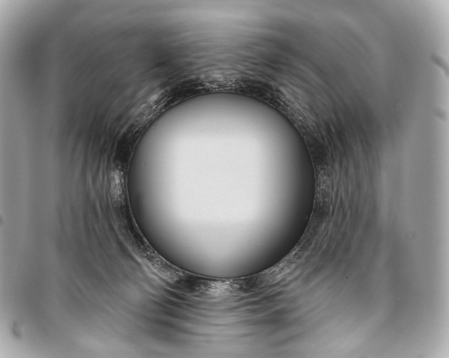 X0000096450130200802071820