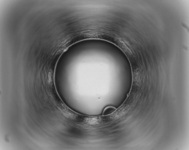 X0000096450131200802071820