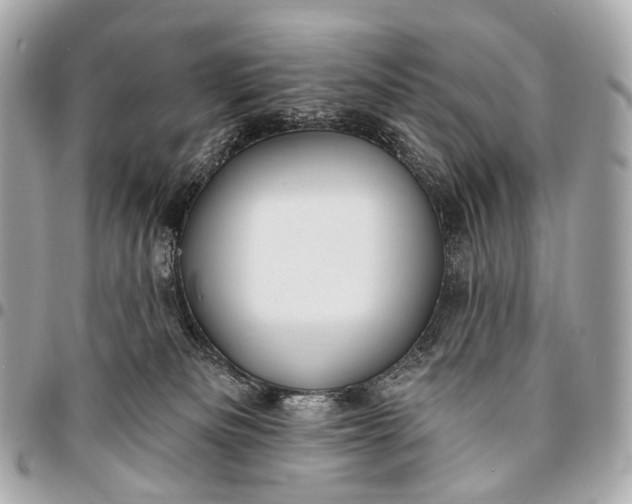 X0000096450133200802071820