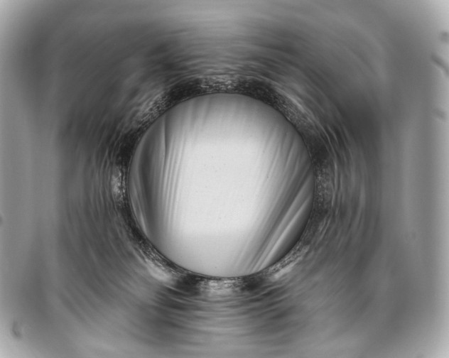 X0000096450134200802071820