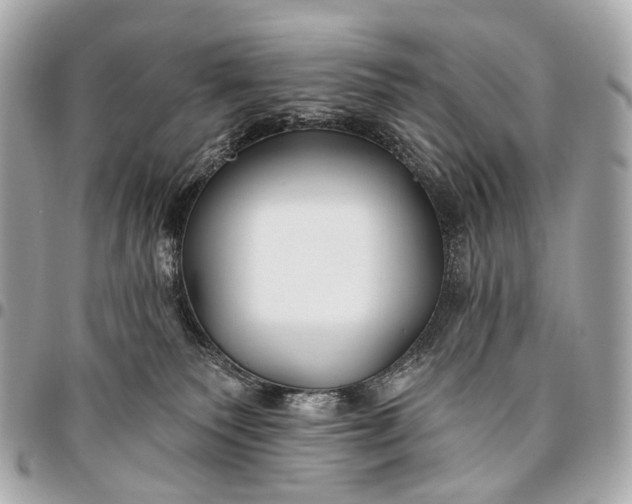 X0000096450135200802071820