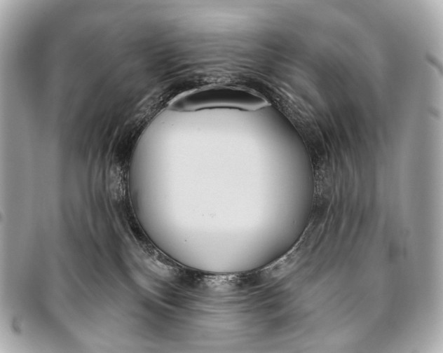 X0000096450136200802071820