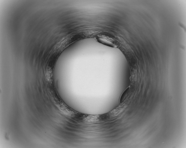 X0000096450138200802071820