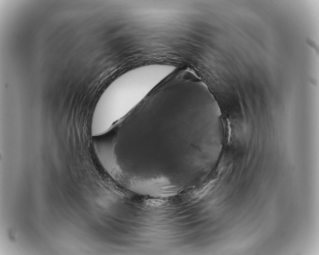 X0000096450139200802071820