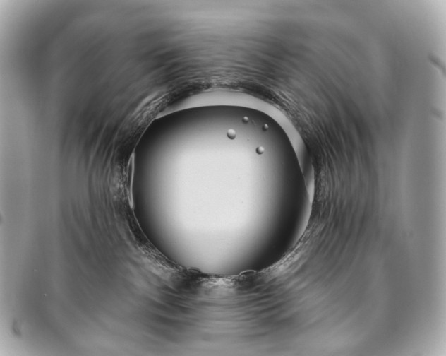 X0000096450140200802071820