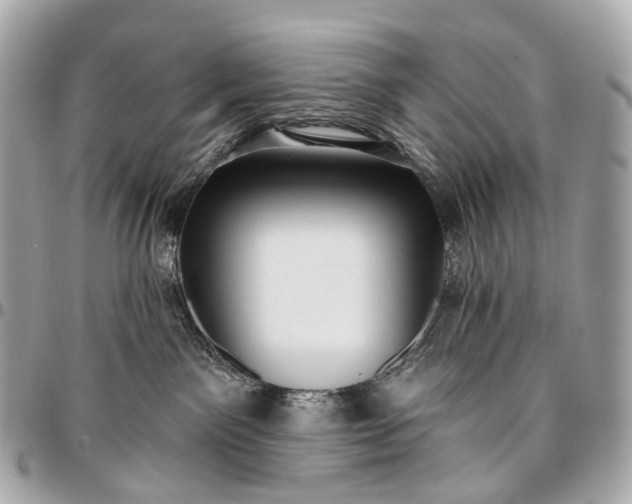 X0000096450141200802071820