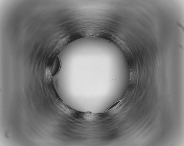 X0000096450142200802071820