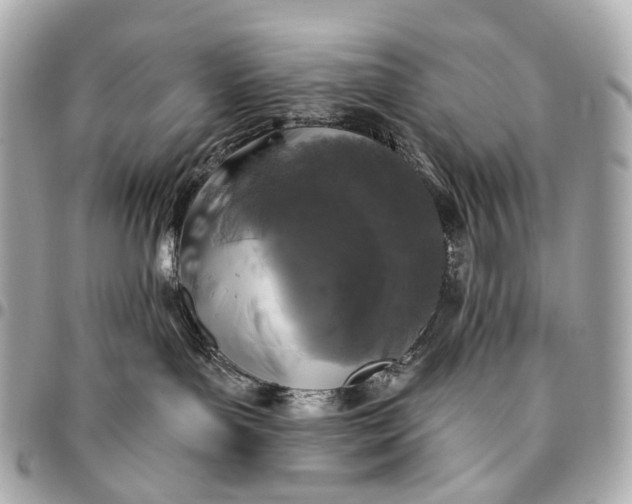 X0000096450143200802071820