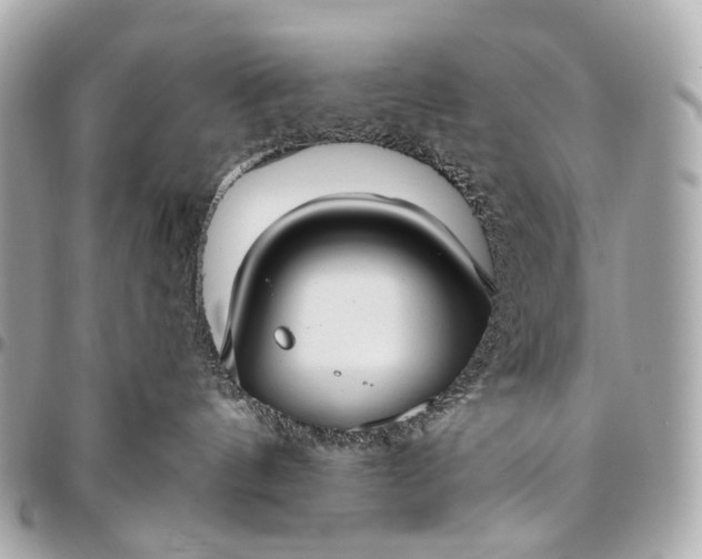 X0000096450144200802071820