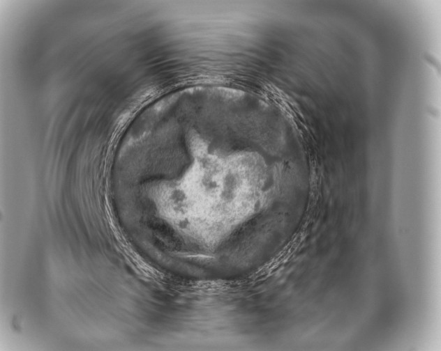 X0000096450145200802071820