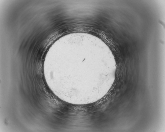 X0000096450146200802071820