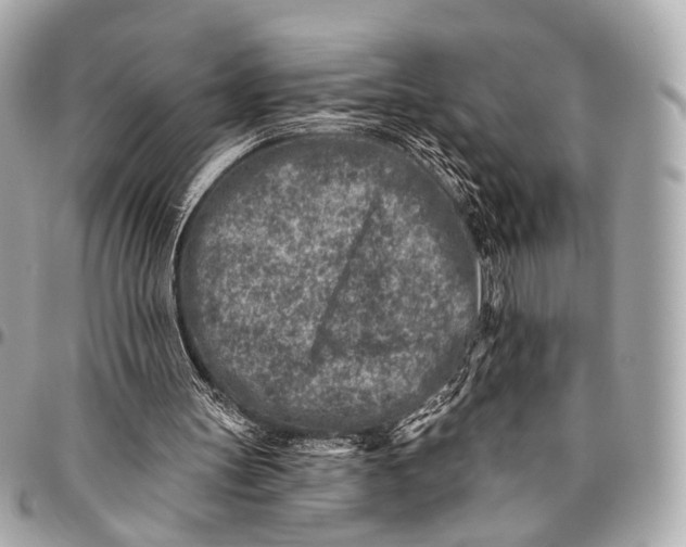 X0000096450147200802071820