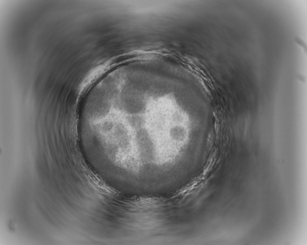 X0000096450149200802071820