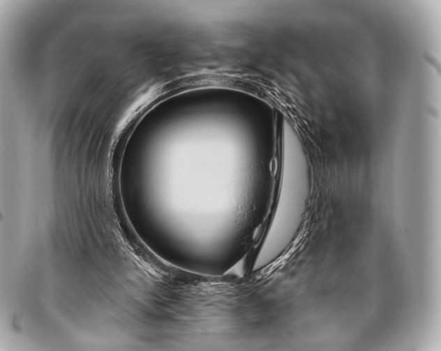 X0000096450150200802071820