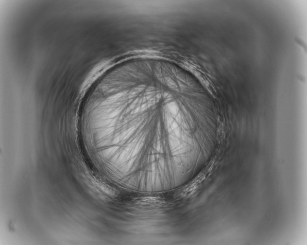 X0000096450151200802071820