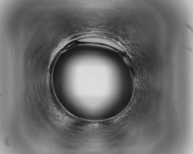 X0000096450152200802071820