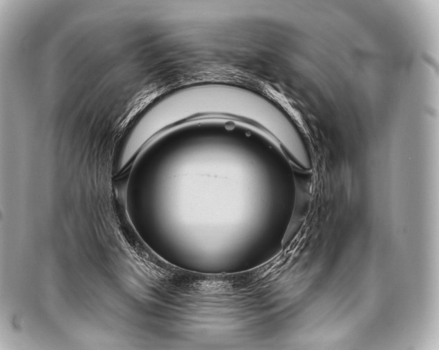 X0000096450154200802071820