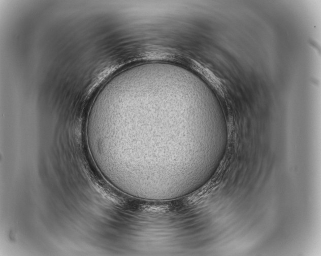 X0000096450155200802071820