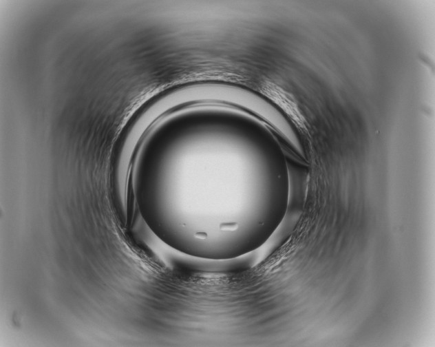 X0000096450156200802071820