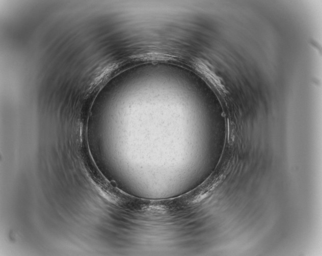 X0000096450157200802071820