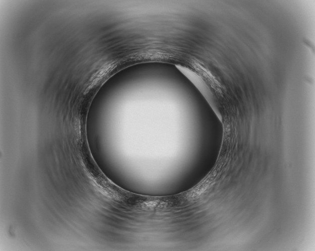 X0000096450158200802071820