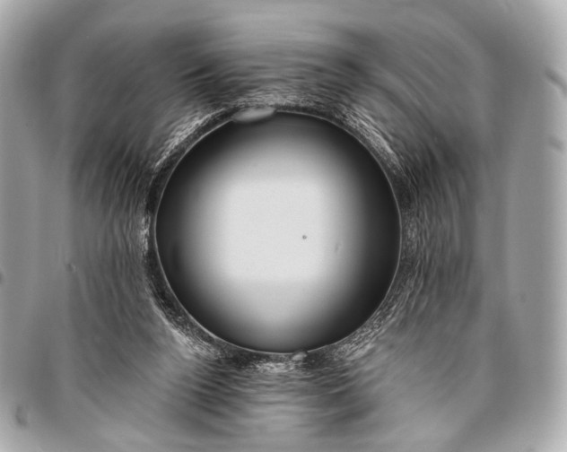 X0000096450160200802071820