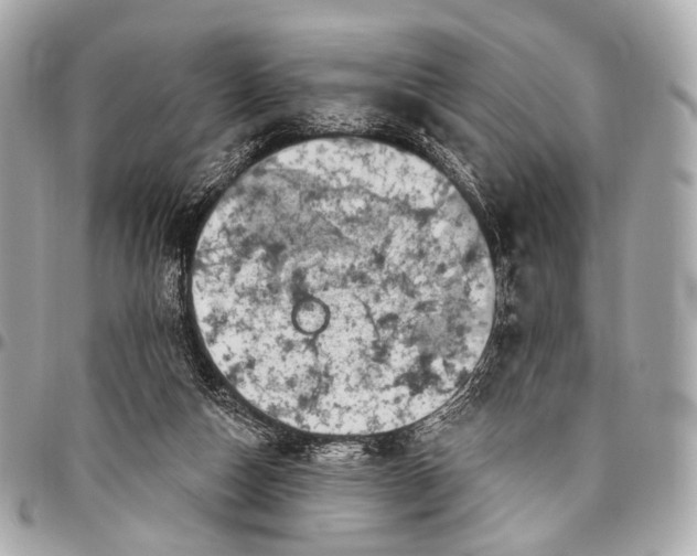 X0000096450162200802071820