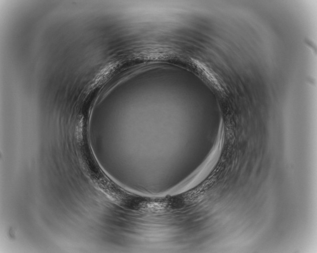 X0000096450163200802071820