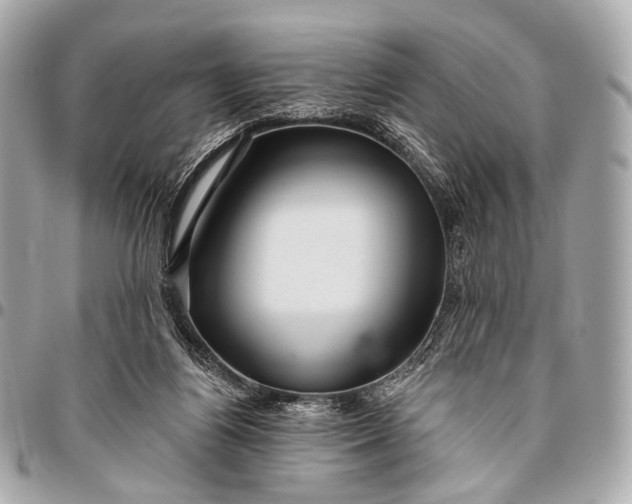 X0000096450164200802071820