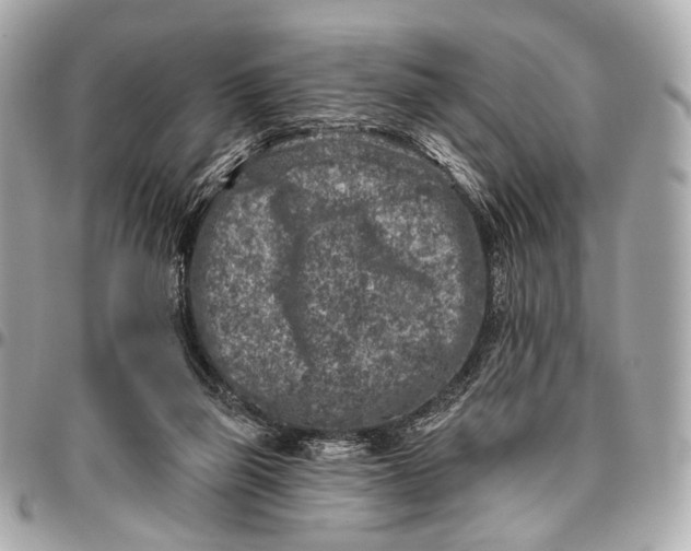 X0000096450165200802071820