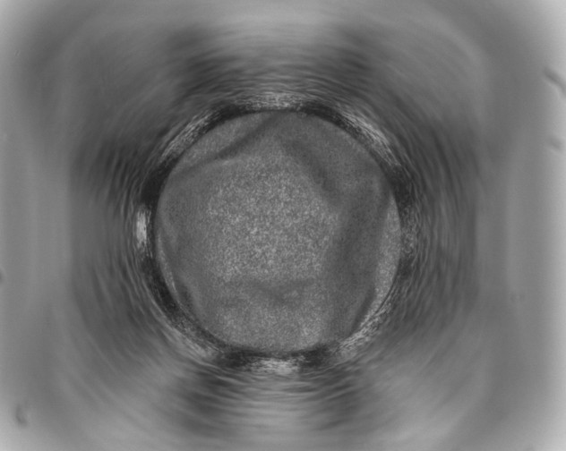 X0000096450166200802071820