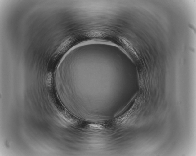 X0000096450167200802071820