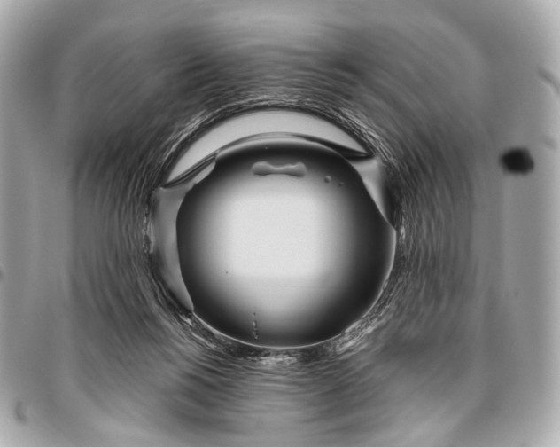 X0000096450168200802071820