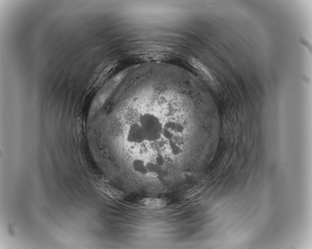 X0000096450169200802071820