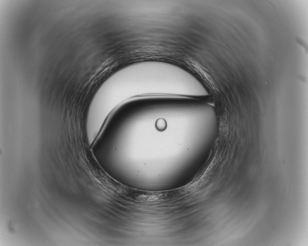 X0000096450170200802071820