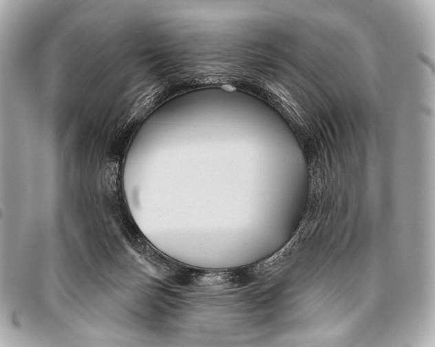 X0000096450171200802071820