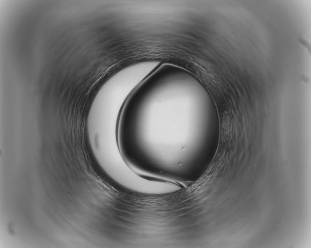 X0000096450172200802071820